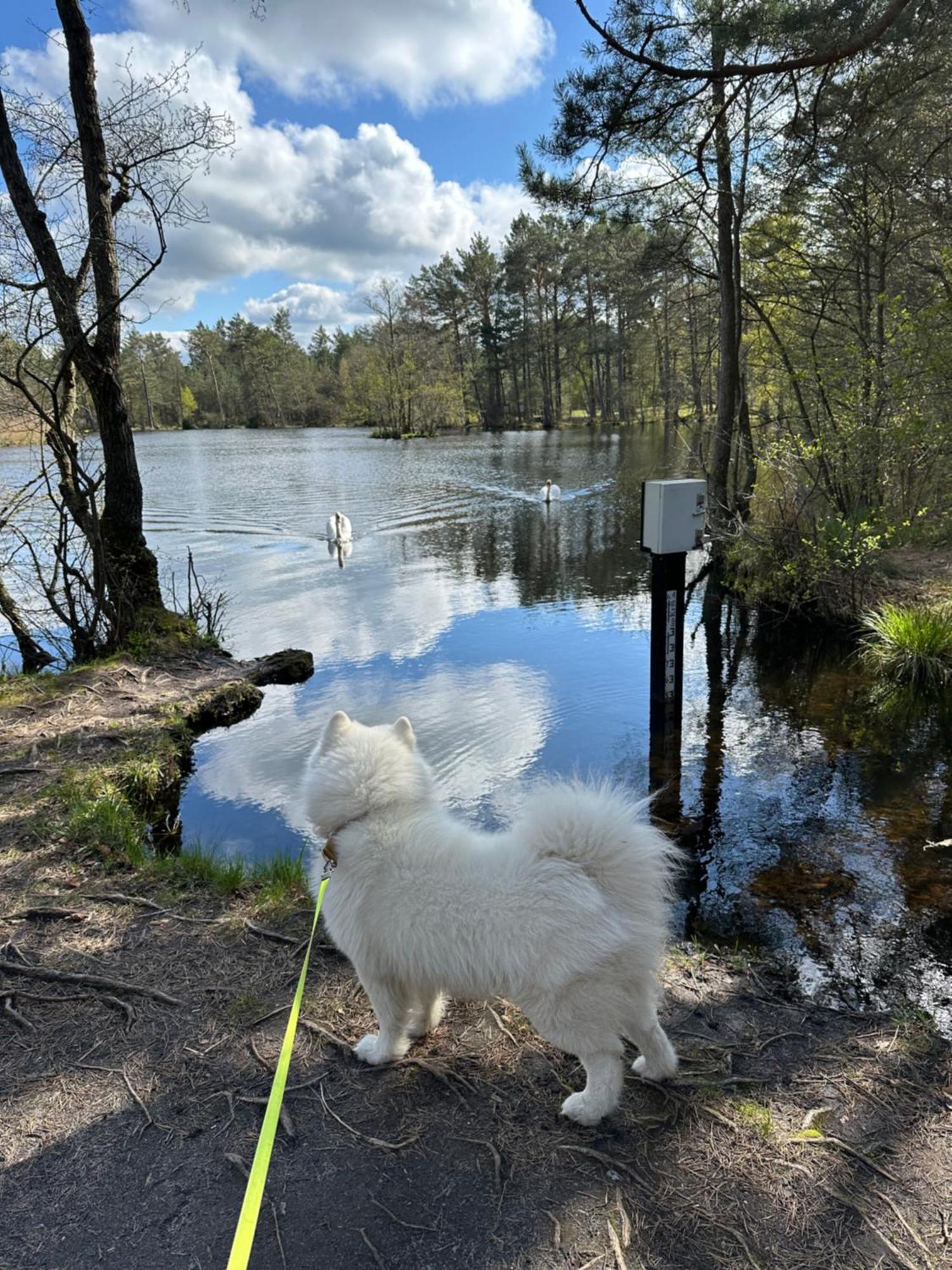 Domki Skandynawskie Kopalino Exteriör bild