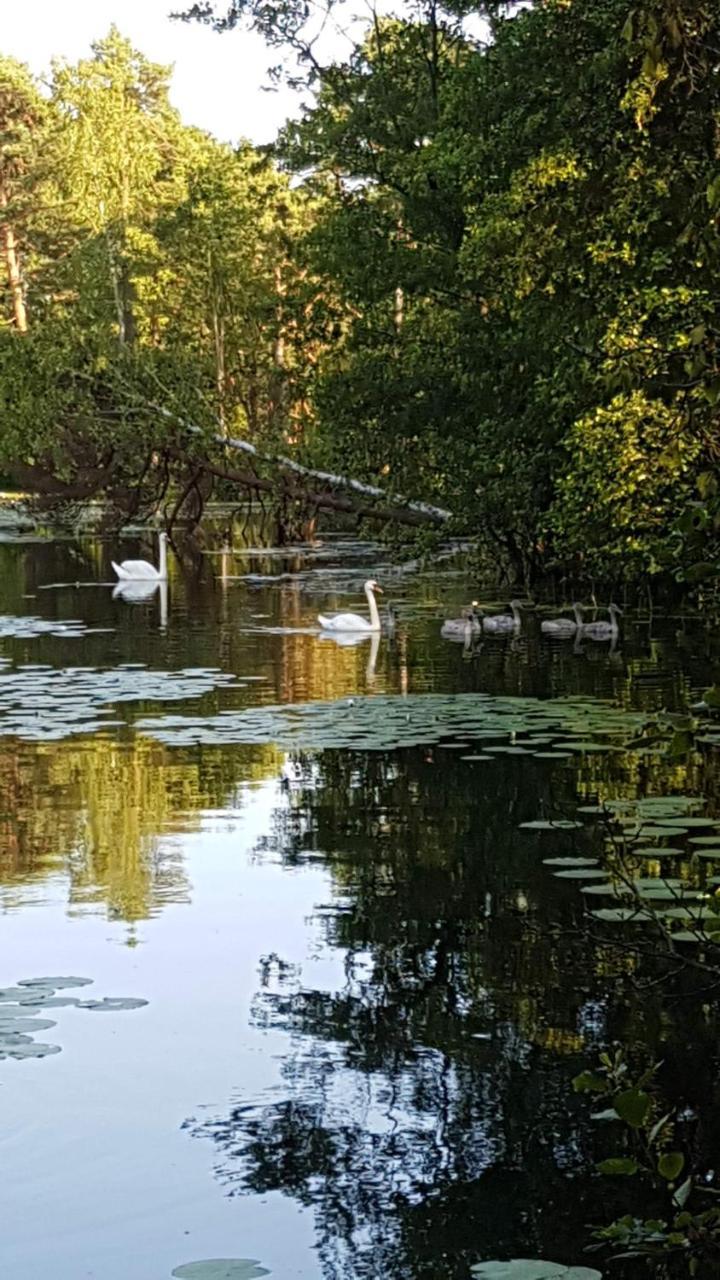 Domki Skandynawskie Kopalino Exteriör bild