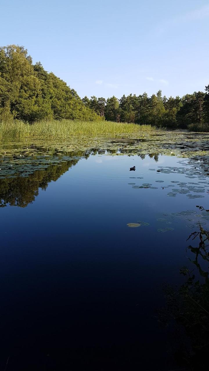 Domki Skandynawskie Kopalino Exteriör bild